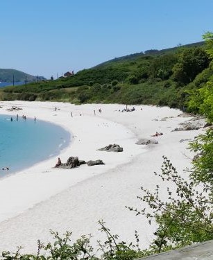 Cruceros Rías Baixas - Isla de Ons