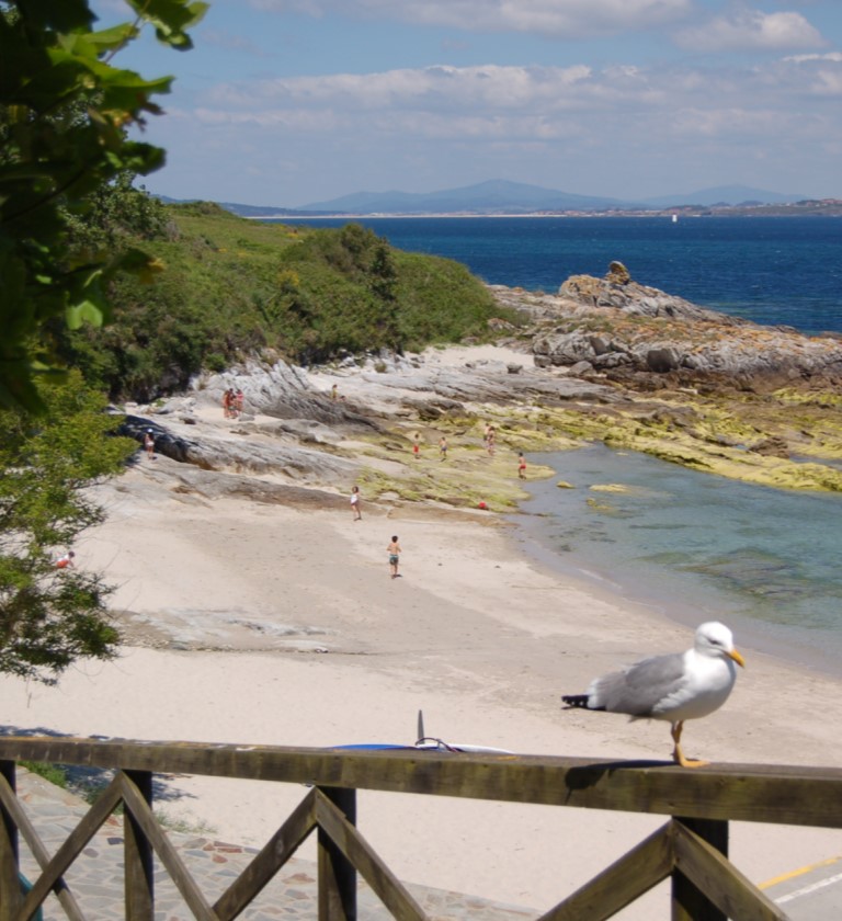 Cruceros Rías Baixas - Isla de Ons