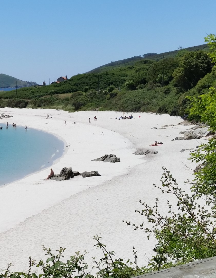 Cruceros Rías Baixas - Isla de Ons