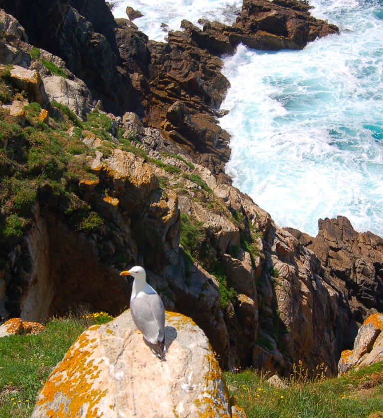 Cruceros Rías Baixas - Isla de Ons