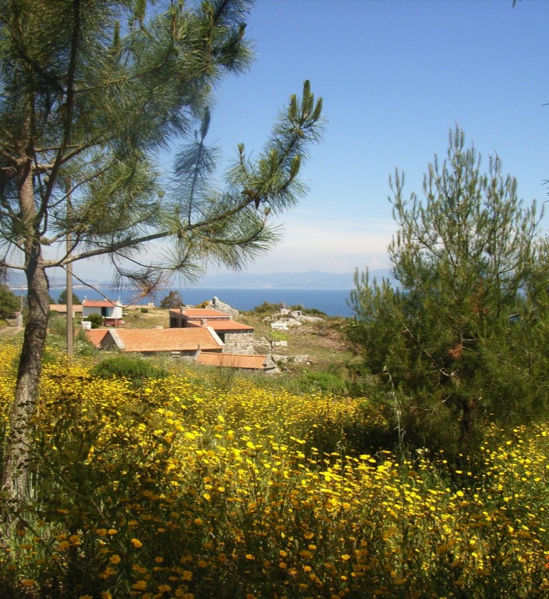 Cruceros Rías Baixas - Isla de Ons